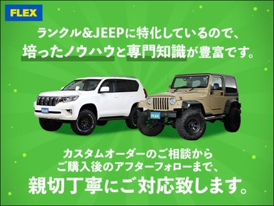 2016 Toyota LAND CRUISER 200 photo 68