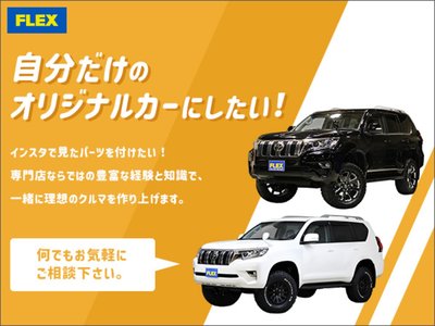 2016 Toyota LAND CRUISER 200 photo 71