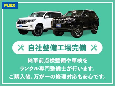 2016 Toyota LAND CRUISER 200 photo 69