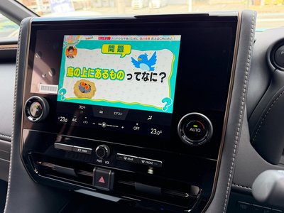 2026 Toyota ALPHARD — фото 19