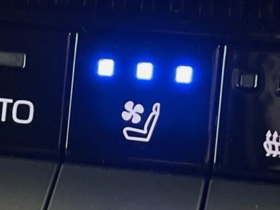 2024 Toyota LAND CRUISER 250 照片 7