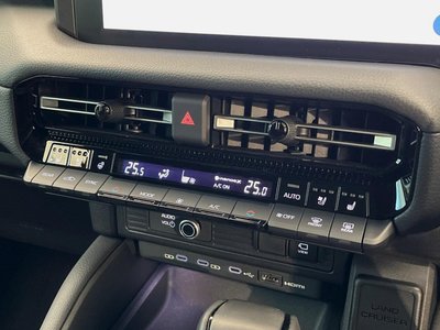 2024 Toyota LAND CRUISER 250 照片 25