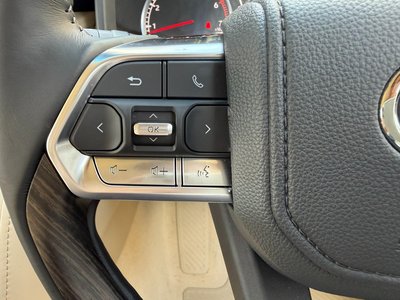 2024 Toyota LAND CRUISER 300 thumbnail 43