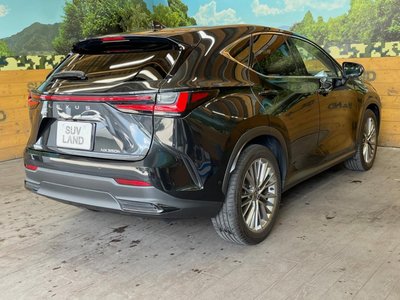 2023 Lexus NX — фото 18