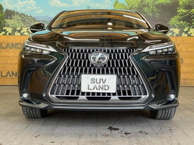 2023 Lexus NX — фото 15