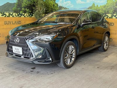 2023 Lexus NX — фото 48