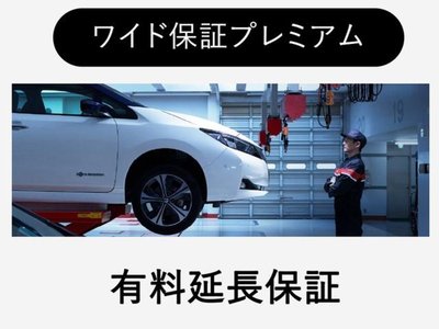 2025 Nissan SKYLINE 照片 23