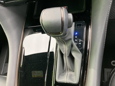 2025 Toyota ALPHARD 照片 27