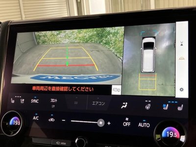 2025 Toyota ALPHARD 照片 13