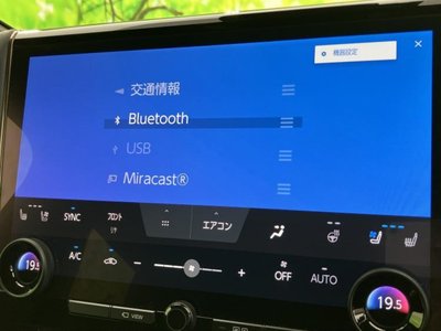 2025 Toyota ALPHARD 照片 11