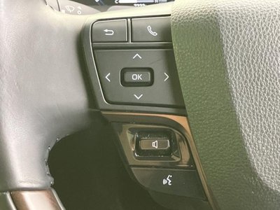 2025 Toyota ALPHARD 照片 31