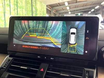 2025 Toyota LAND CRUISER 300 照片 5