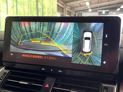 2025 Toyota LAND CRUISER 300 照片 35