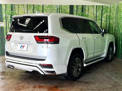 2025 Toyota LAND CRUISER 300 照片 12