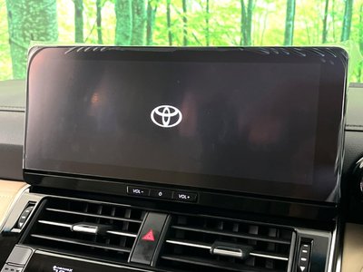 2025 Toyota LAND CRUISER 300 照片 4