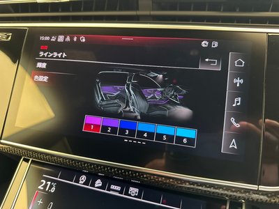 2023 AUDI SQ8 照片 20