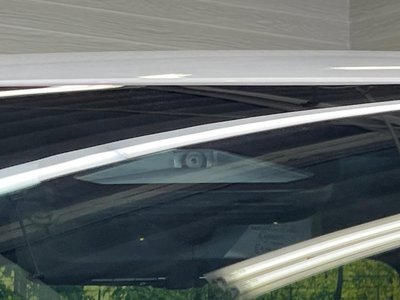صورة 60 لـ 2025 Toyota ALPHARD
