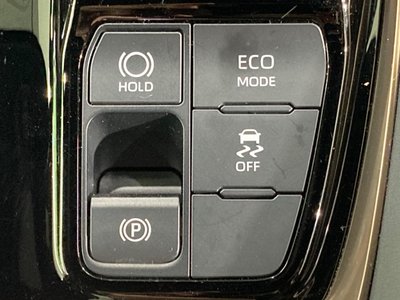 2024 Toyota ALPHARD 缩略图 59