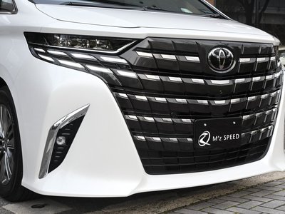 2026 Toyota ALPHARD 照片 10