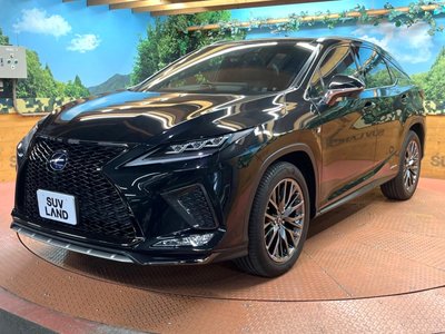 صورة مصغرة 60 لـ 2020 Lexus RX
