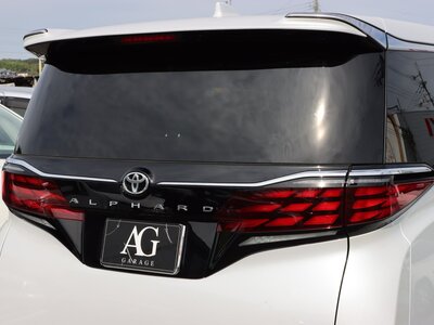 2023 Toyota ALPHARD — фото 39