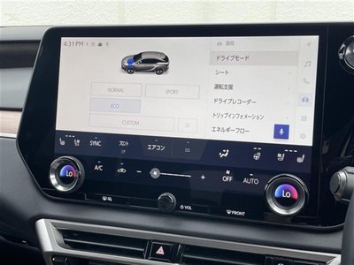 2023 Lexus RX photo 10