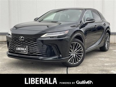 2023 Lexus RX photo 1