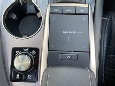 2019 Lexus RX thumbnail 21