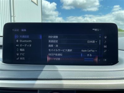 2019 Lexus RX photo 16