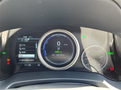 2019 Lexus RX photo 12