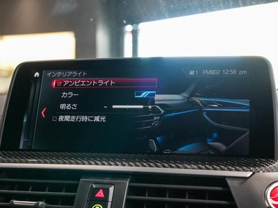 2019 BMW X4 M 照片 87