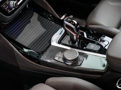 2019 BMW X4 M 照片 100