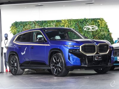 صورة 18 لـ 2023 BMW XM
