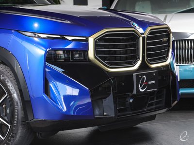 صورة 21 لـ 2023 BMW XM