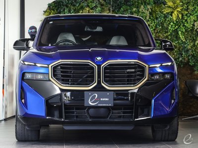 صورة 31 لـ 2023 BMW XM