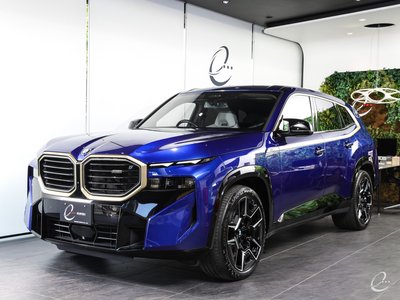 صورة 35 لـ 2023 BMW XM