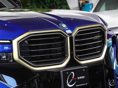 صورة 20 لـ 2023 BMW XM
