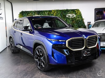 صورة 27 لـ 2023 BMW XM