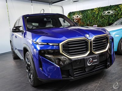 صورة 63 لـ 2023 BMW XM