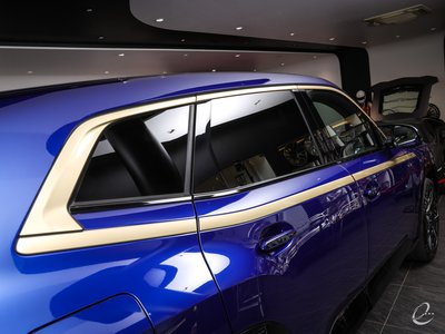 صورة 61 لـ 2023 BMW XM