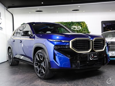 صورة 28 لـ 2023 BMW XM