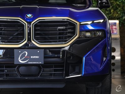 صورة 32 لـ 2023 BMW XM
