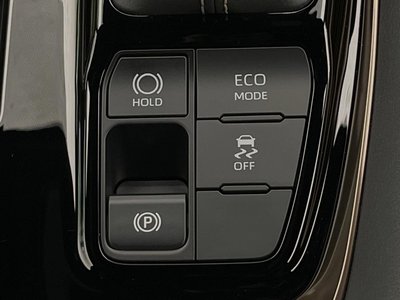 2025 Toyota ALPHARD 照片 62