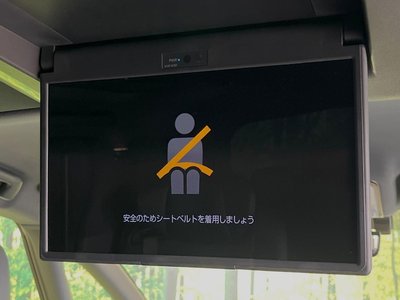 2025 Toyota ALPHARD 照片 3