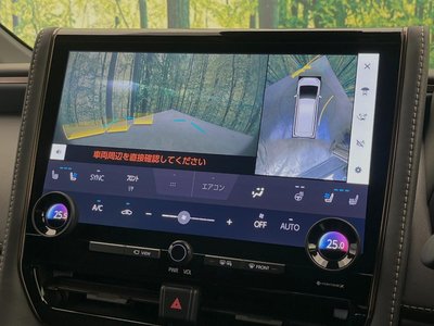 2025 Toyota ALPHARD 照片 71