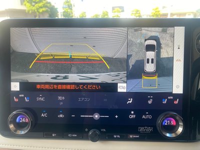2024 Lexus LM photo 18