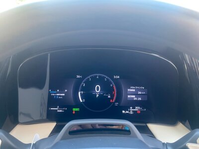 2024 Lexus LM photo 10