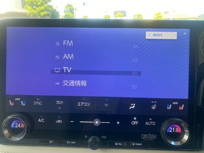 2024 Lexus LM photo 16