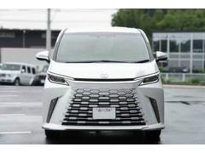 2025 Lexus LM photo 11