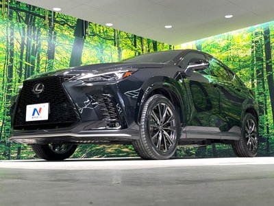 2023 Lexus NX — миниатюра 71